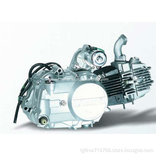 100CC Motorcycle Engine (JL1P50FMG 005)